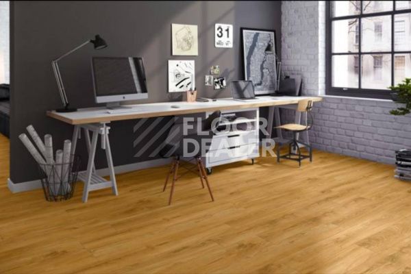 Плитка ПВХ Quick Step Livyn Balance Click КЛАССИЧЕСКИЙ НАТУРАЛЬНЫЙ ДУБ BACL40023 фото 4 | FLOORDEALER